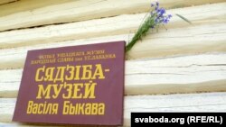 Шыльда на музэі