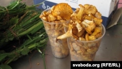 Ілюстрацыйнае фота