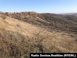 Клебан-бык осенью 2019 года