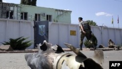 Український прикордонник після нічного нападу проходить повз уламки ракети, Мілове, Луганська область, 8 серпня 2014 року