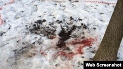 Акс аз бойгонӣ