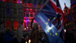 Евробиримдикти жактагандардын Лондондогу акциясы. 30-январь, 2020-жыл.