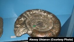 Останки динозавров изучают члены антикоррупционной комиссии