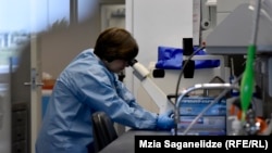 Иллюстративное фото