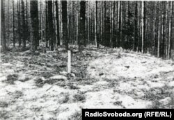 Місце розстрільної ями в урочищі, яке назвуть Сандармох. Карелія, 1997 рік