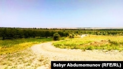 Сад в селе Ак-Турпак Кадамджайского района. Бургандинский массив.