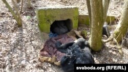 Пажыткі старога бамжа