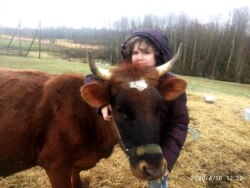 Тася и корова