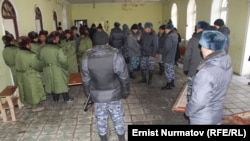 Куршабдагы мигранттар