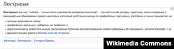 Зьвесткі зь вікіпэдыі