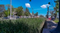 Керч, 23 травня 2020 року