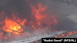 Акс аз бойгонӣ.