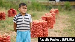 Акс аз бойгонӣ