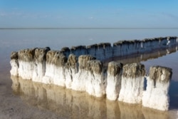 Дерев'яні стовпці у воді, покриті сіллю. Озеро Ельтон