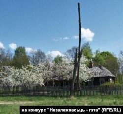 ВЯСНА НА ПАЛЕСЬСІ. Незалежнасьць — гэта... калі з раю вяртаюцца птушкі і прыходзіць нарэшце сапраўдная вясна. 2008.