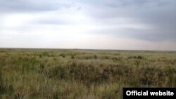 Торғай даласындағы геоглифтердің бірі.