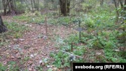 Жывёльны могільнік на ўскрайку Магілёва