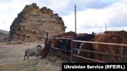 Фермерское хозяйство