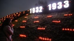 28 листопада 2020 року