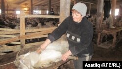 Надежда Окулич