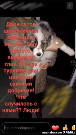 Фото из публикации в соцсетях