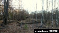 Усё што засталося ад абжытага людзьмі месца – падмурак, які паволі хавае расьліннасьць