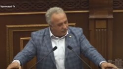 Депутат фракции «Мой шаг» Сасун Микаелян, 11 мая 2020 г.