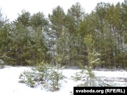 Краявіды вакол кінутых вёсак