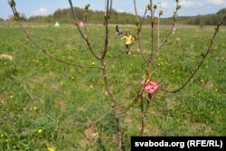 Від на дуброву