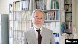 Eсинори Осуми