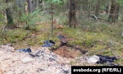 Што тут шукалі, невядома. Косткі і рэчы пакінулі