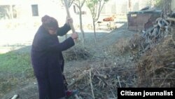 Кўмир қимматлаб кетгани учун аҳоли мевали ва манзарали дарахтларни кесишга мажбур қолаётганидан нолимоқда.