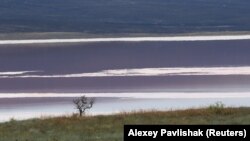 Самые яркие крымские фотографии недели (фотогалерея)