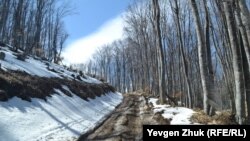 Mında alâ daa qar bar