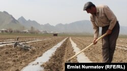 Иллюстративное фото.