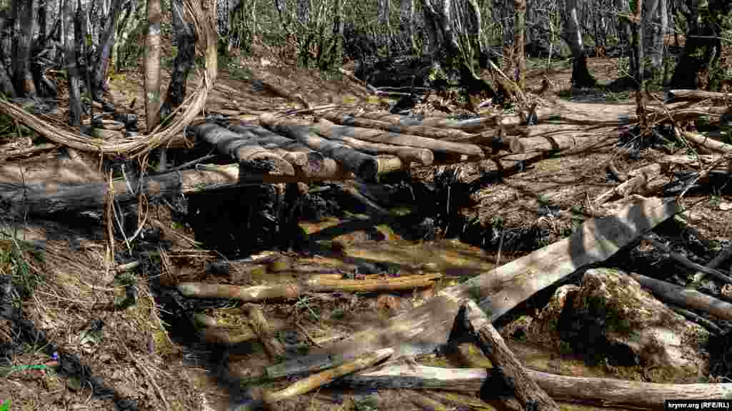 İrmaqnı sallanğan köpürden keçemiz