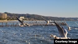 Иллюстративное фото