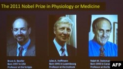 از چپ به راست : بروس بوتلر، ژول هوفمان و رالف استاینمن