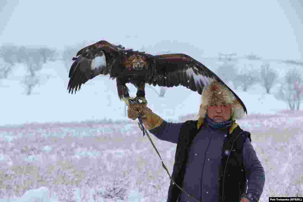 У турнірі брали участь беркутчі з десяти регіонів Казахстану. Через пандемію в умови змагань були внесені обмеження: від кожної області дозволялося привезти по два беркути, по одному соколу і одному орлу. Переможцем змагань став Арман Кушкаров із Атирауської області, але беркутчі з інших регіонів зуміли подарувати глядачам видовищні виступи й атмосферу справжніх змагань. На фото мисливець із беркутом на руках готується до змагань