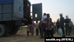 Бу йилги пахтани териб бериш яна мажбурий "ҳашарчилар" зиммасига юклатилаётганга ўхшайди.