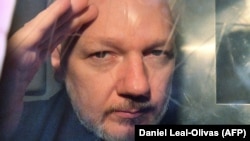 Ассанжа засудили до майже року ув’язнення за порушення умов звільнення під заставу