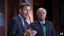 Сенатори Річард Блументаль (л) і Ліндсі Ґрем