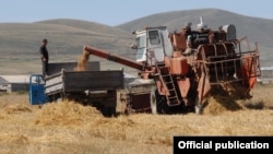 Armenia - Wheat harvesting in Gegharkunik province.