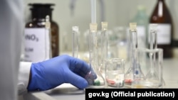 Коронавирусту аныктоо үчүн лабораториялык текшерүү учуру. 