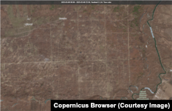 Национальный природный парк "Кременские леса" в марте 2025 года, спутниковый снимок