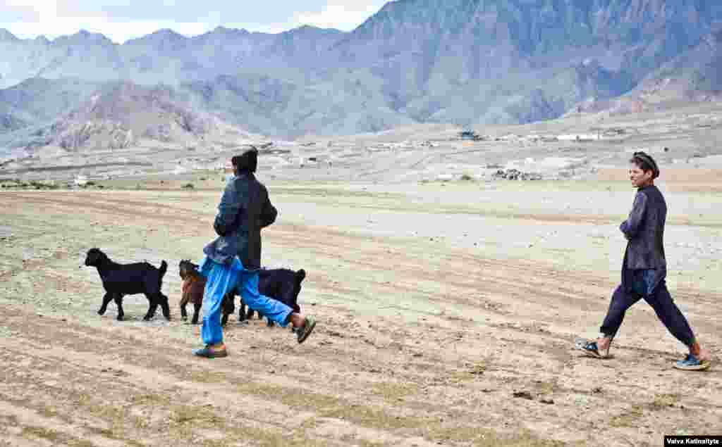 Over the centuries the Kuchi nomads, whose numbers are estimated from 300,000 to 3 million, have pursued a migratory life, herding caravans of sheep, goats, and camels around the country.