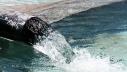 Խմելու ջուրը հունվարի 1-ից 20 դրամով թանկացնելու որոշումը միանշանակ չի ընդունվում