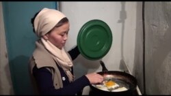 Таласта биогаз чыгарган фермер