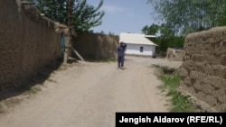 Паскы-Арык айылы