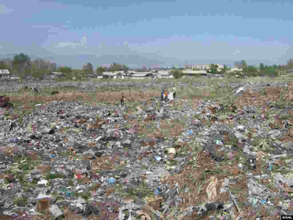 Кӯдакони коргар #28